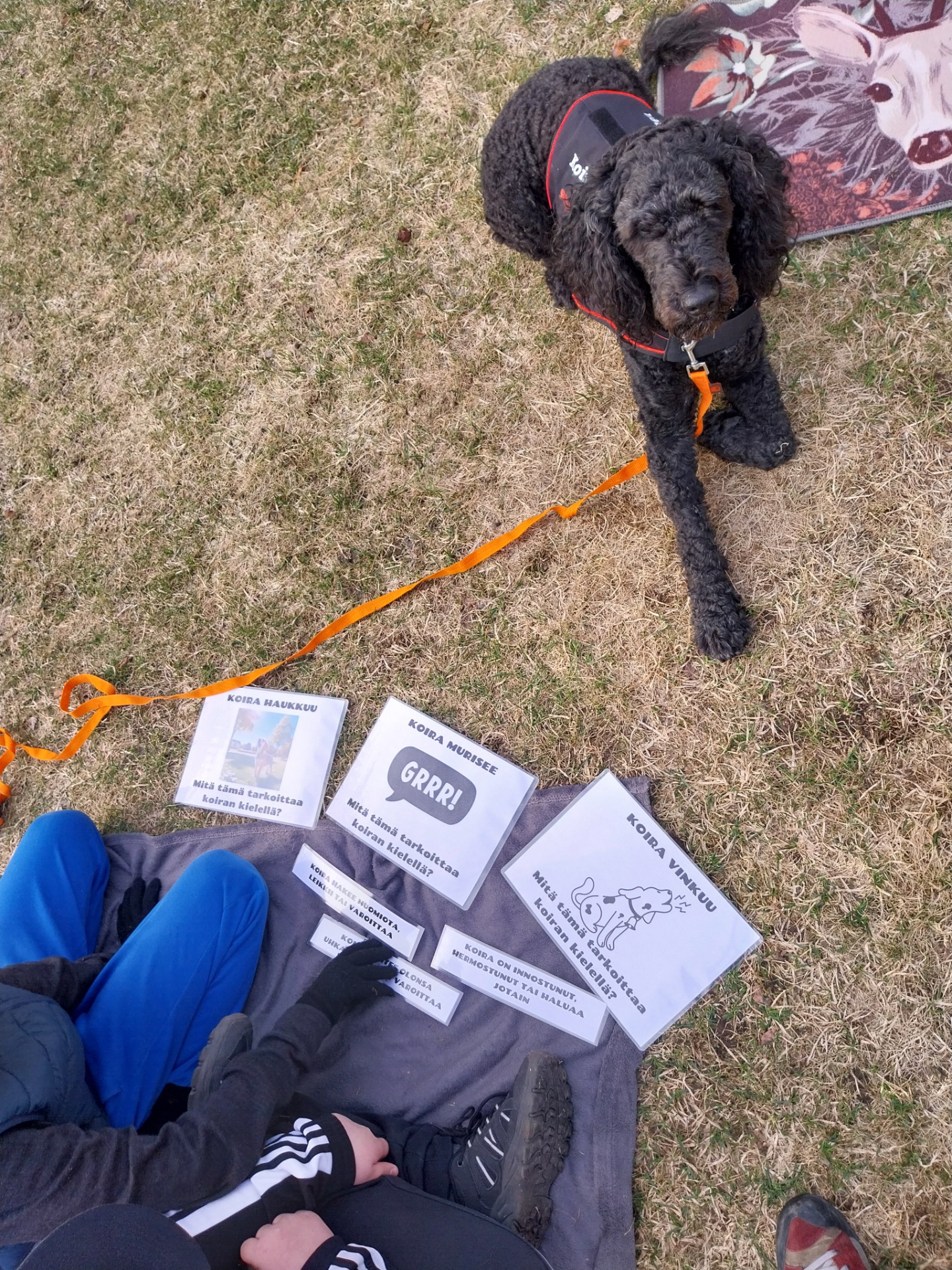 Koirakerhossa opetellaan koiran eleitä ja ääntelyä