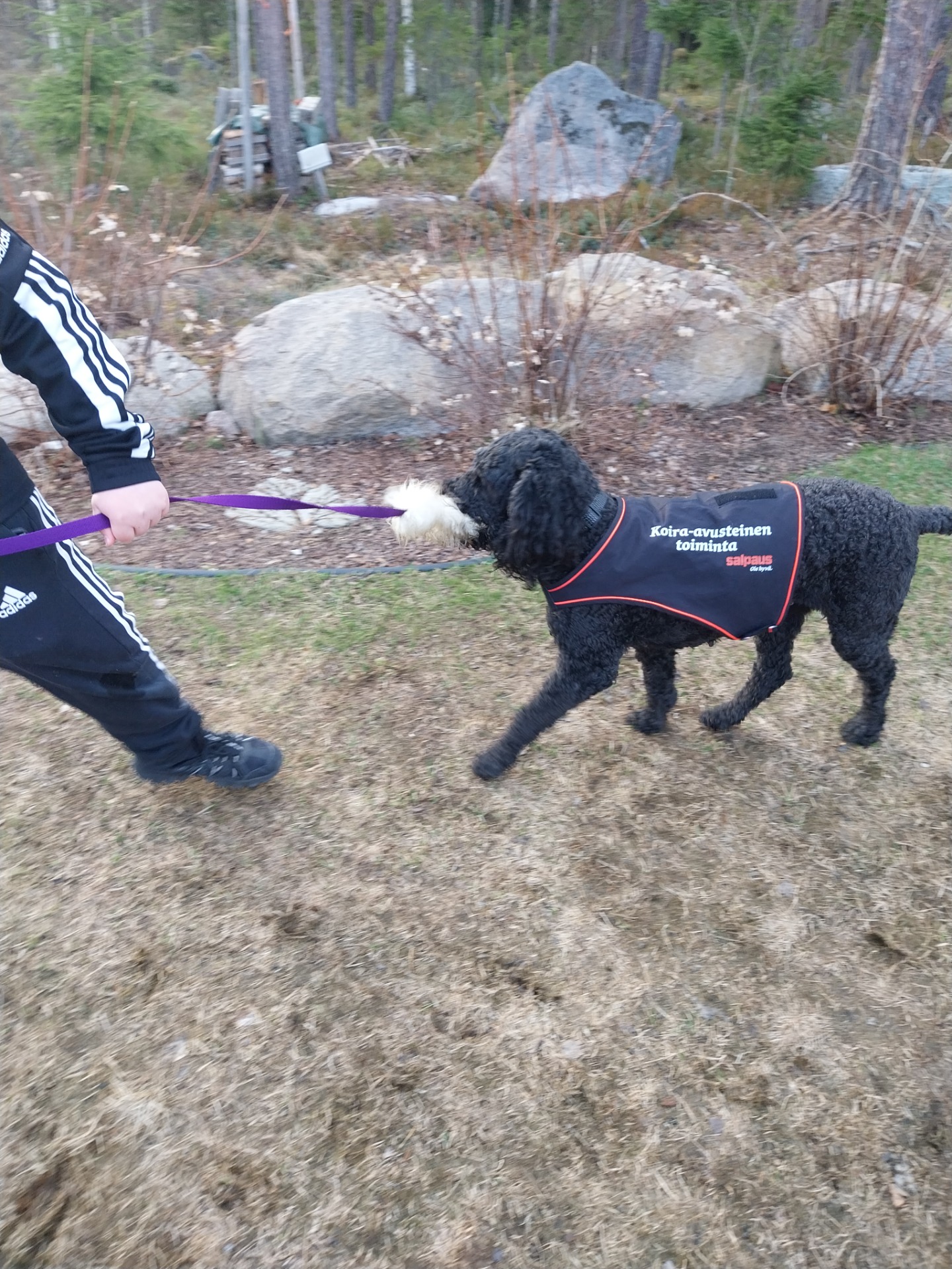 Koira- ja luontokerhossa leikitään erilaisia leikkejä koiran kanssa