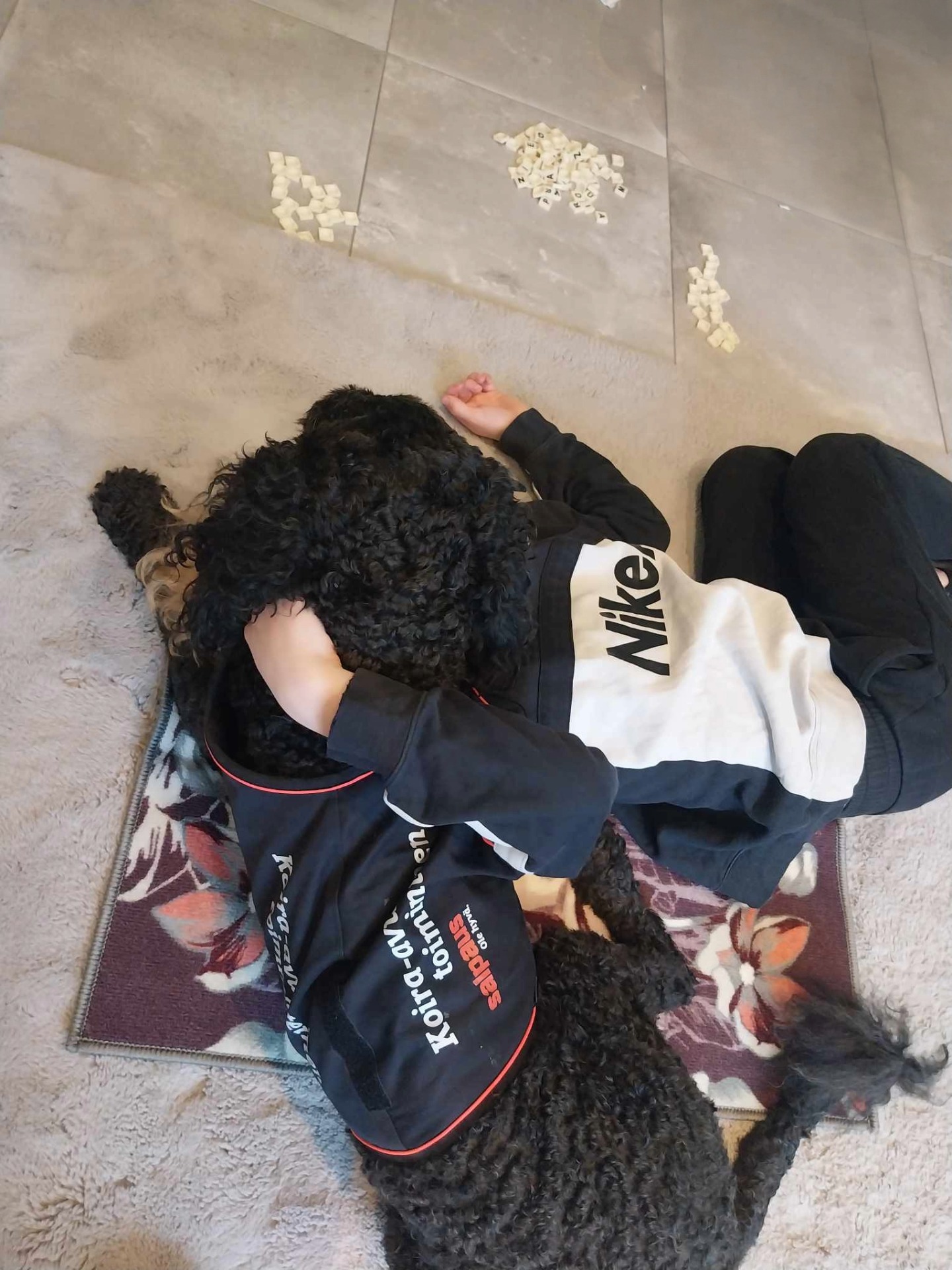 Koiraleirillä saa halata ja paijata. Mielihyvähormonien määrä on suuri.