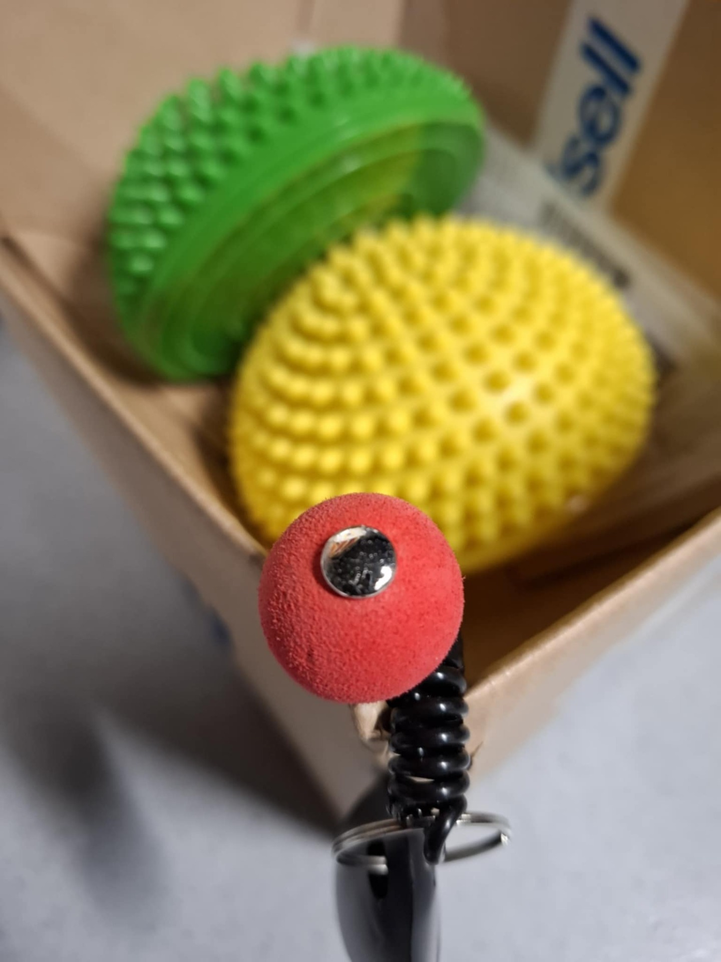 Koirakerhossa lapset saavat kouluttaa koiralle uusia temppuja. Mikä on kosketuskeppi ja mitä sillä tehdään?