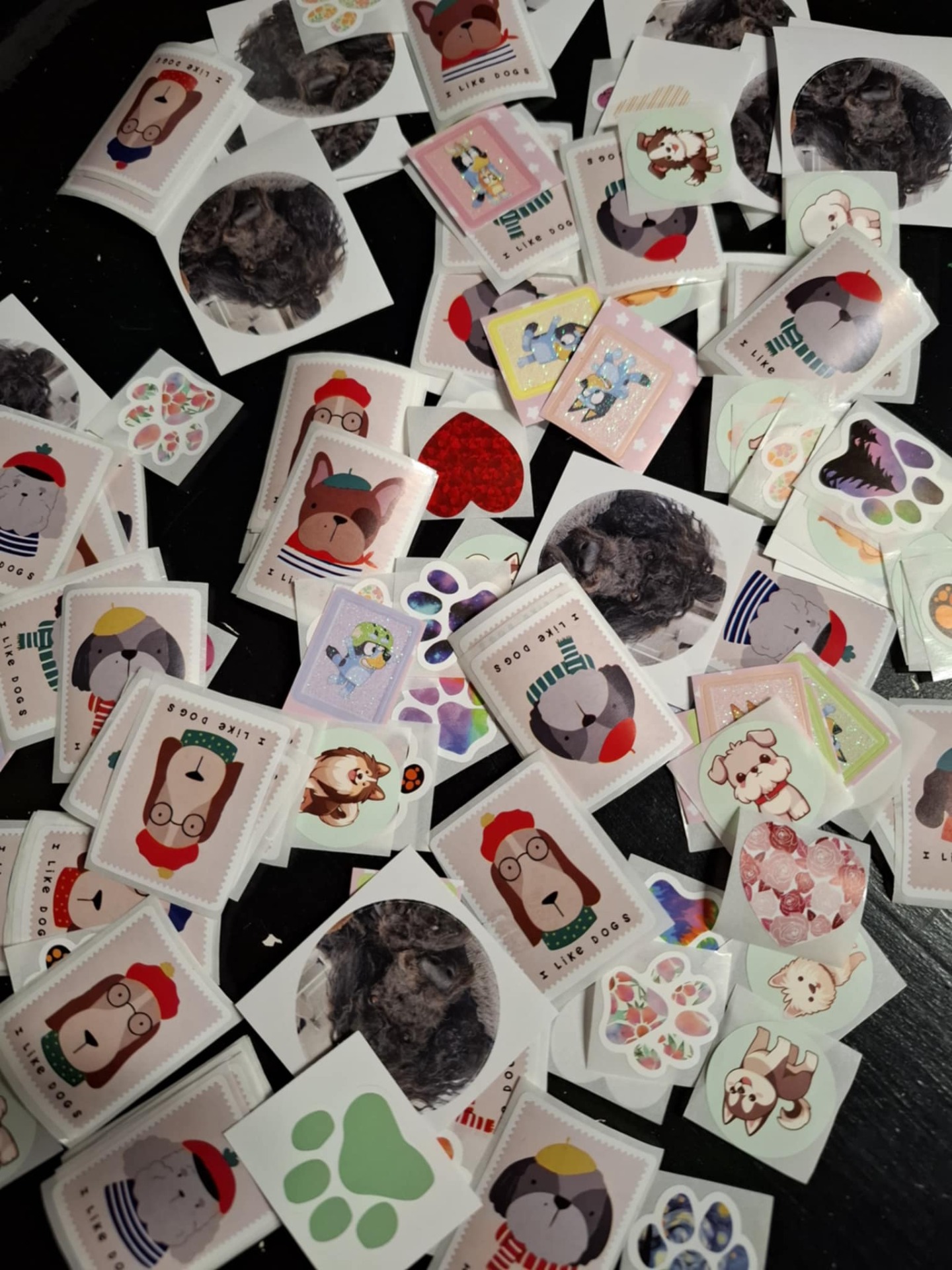 Synttäreillä kerätään synttäridiplomiin koira-aiheisia tarroja ja jokainen lapsi saa tarroja myös muistoksi.